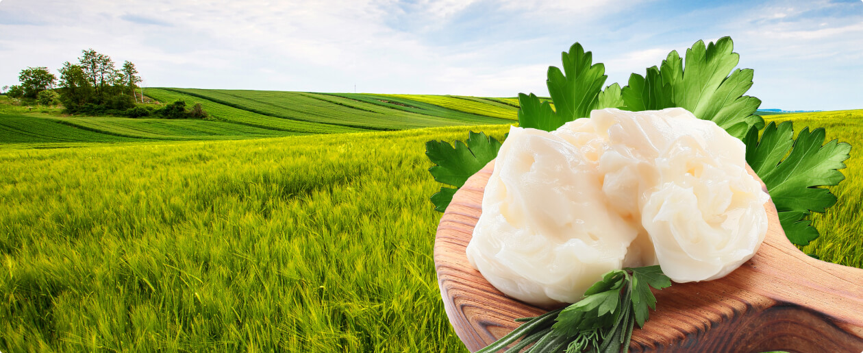 Tradiční výroba škvařeného vepřového sádla